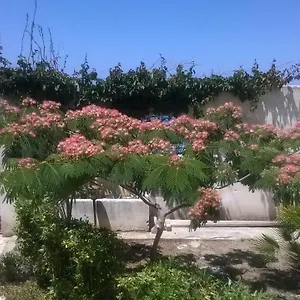  Hébergement de vacances Domus Austri